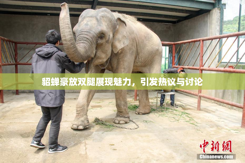 貂蝉豪放双腿展现魅力，引发热议与讨论