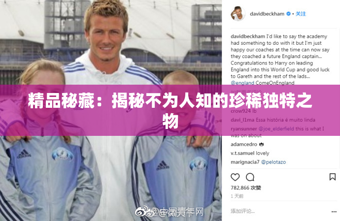 精品秘藏：揭秘不为人知的珍稀独特之物