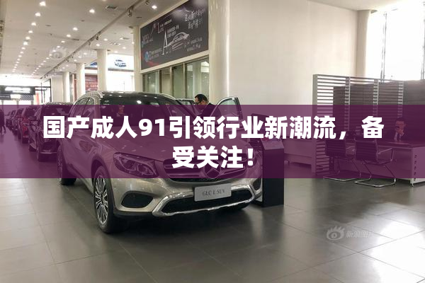 国产成人91引领行业新潮流，备受关注！