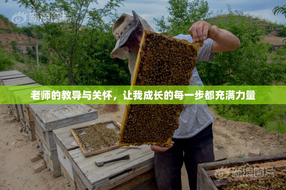 老师的教导与关怀，让我成长的每一步都充满力量