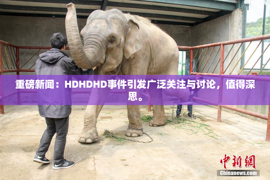 重磅新闻：HDHDHD事件引发广泛关注与讨论，值得深思。