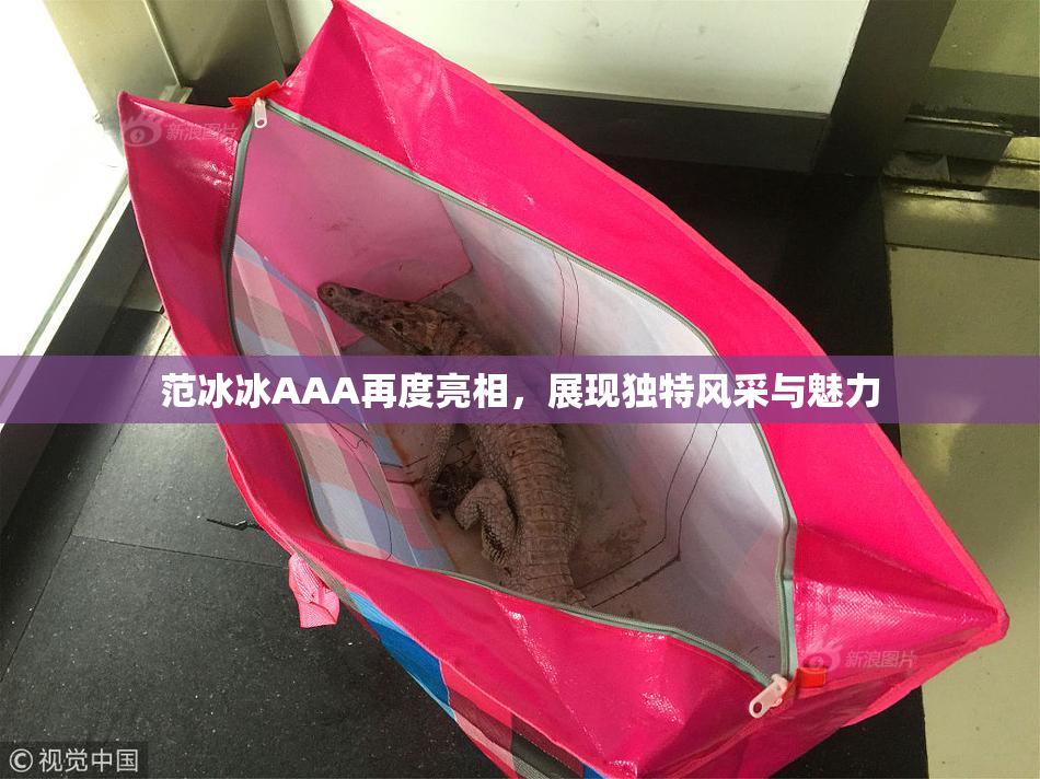 范冰冰AAA再度亮相，展现独特风采与魅力