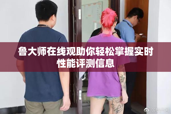 鲁大师在线观助你轻松掌握实时性能评测信息