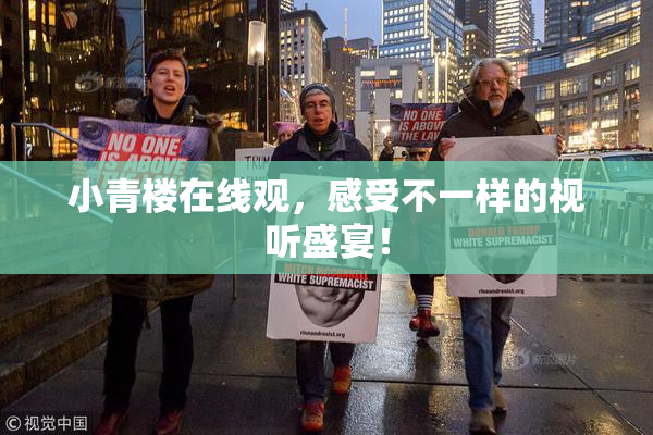 小青楼在线观，感受不一样的视听盛宴！