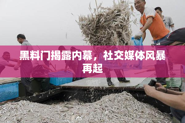 黑料门揭露内幕，社交媒体风暴再起