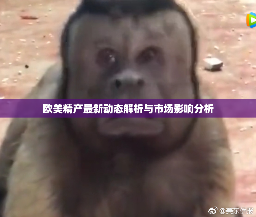 欧美精产最新动态解析与市场影响分析