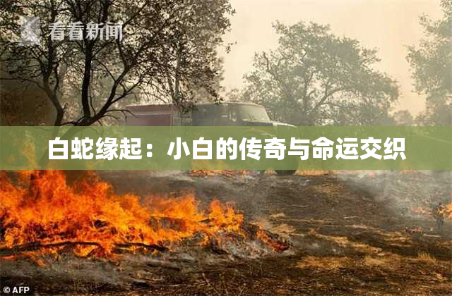 白蛇缘起：小白的传奇与命运交织