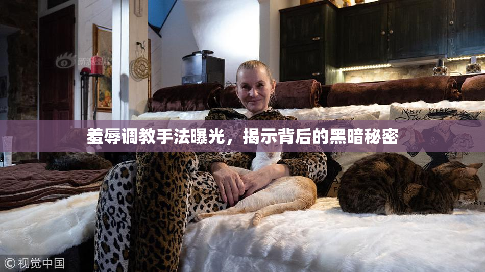 羞辱调教手法曝光，揭示背后的黑暗秘密