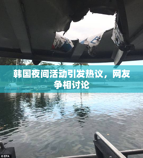 韩国夜间活动引发热议，网友争相讨论