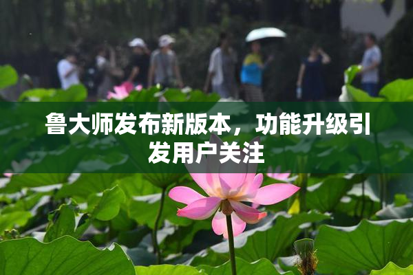 鲁大师发布新版本，功能升级引发用户关注