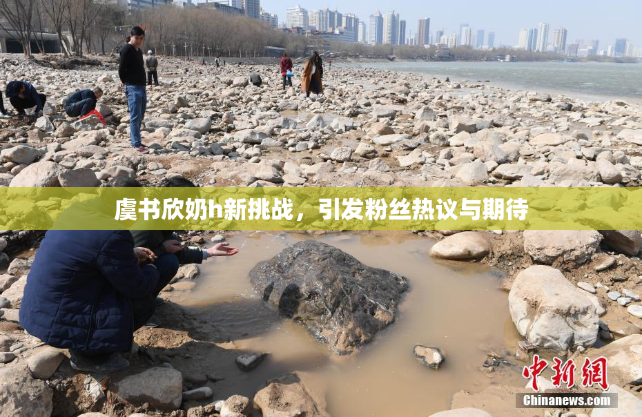 虞书欣奶h新挑战，引发粉丝热议与期待