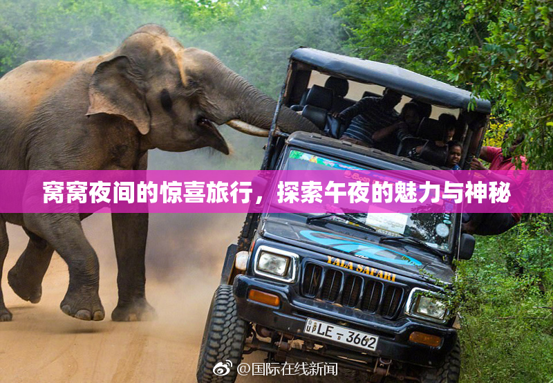 窝窝夜间的惊喜旅行，探索午夜的魅力与神秘