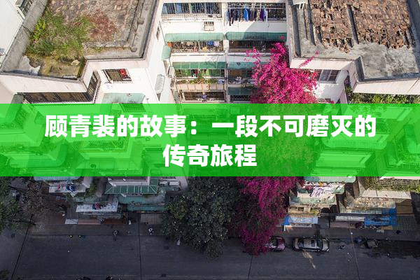 顾青裴的故事：一段不可磨灭的传奇旅程