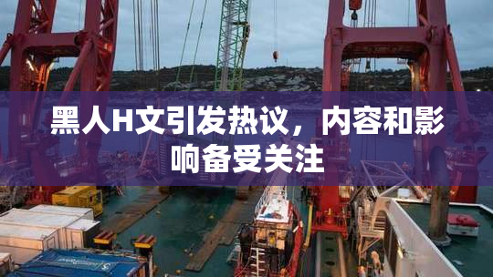 黑人H文引发热议，内容和影响备受关注
