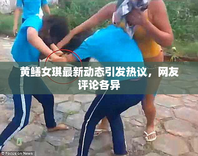 黄鳝女琪最新动态引发热议，网友评论各异