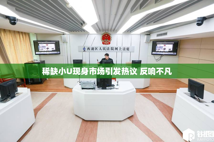 稀缺小U现身市场引发热议 反响不凡