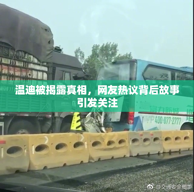 温迪被揭露真相，网友热议背后故事引发关注