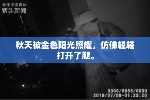 秋天被金色阳光照耀，仿佛轻轻打开了腿。