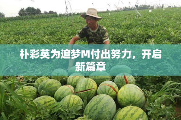 朴彩英为追梦M付出努力，开启新篇章