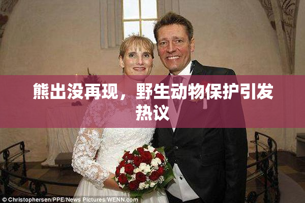 熊出没再现，野生动物保护引发热议