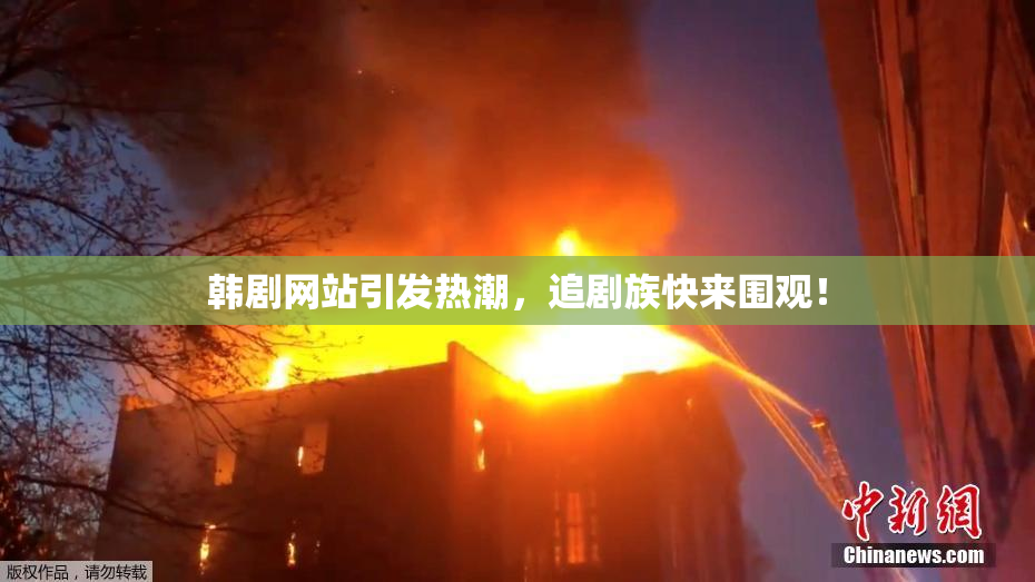 韩剧网站引发热潮，追剧族快来围观！