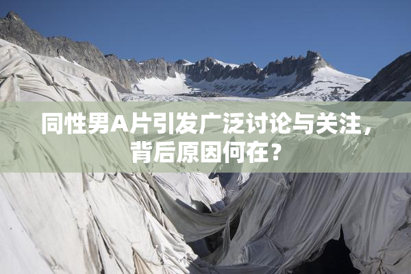 同性男A片引发广泛讨论与关注，背后原因何在？