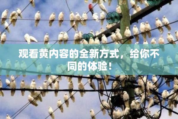 观看黄内容的全新方式，给你不同的体验！