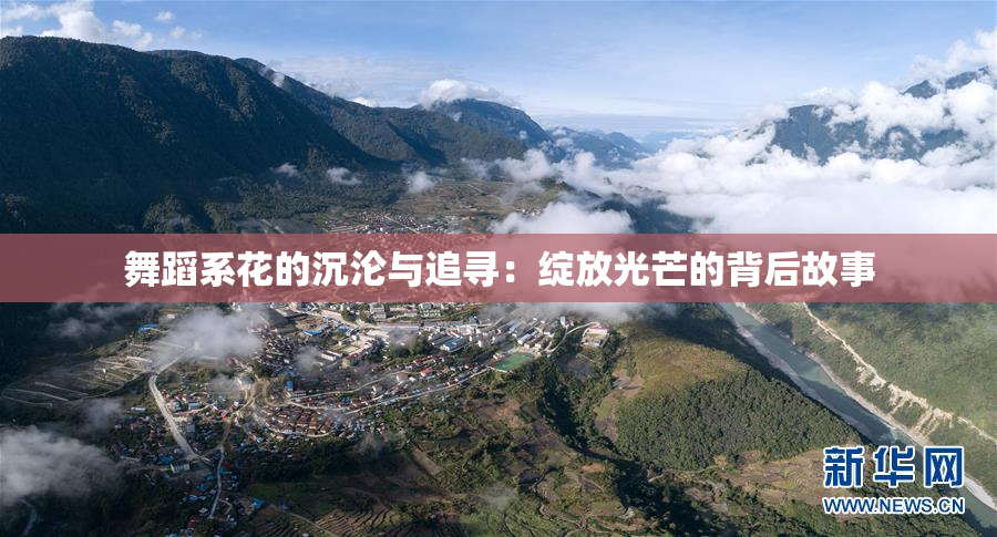 舞蹈系花的沉沦与追寻：绽放光芒的背后故事