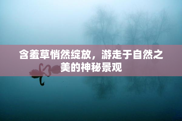 含羞草悄然绽放，游走于自然之美的神秘景观