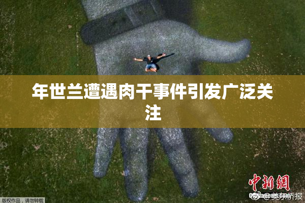 年世兰遭遇肉干事件引发广泛关注
