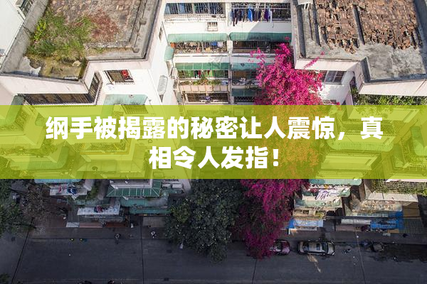 纲手被揭露的秘密让人震惊，真相令人发指！