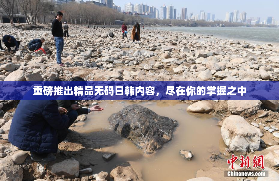 重磅推出精品无码日韩内容，尽在你的掌握之中