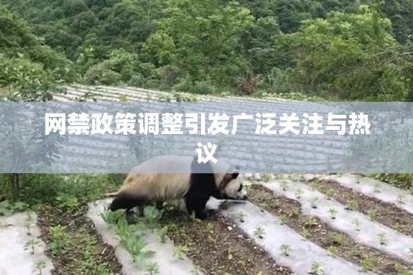 网禁政策调整引发广泛关注与热议