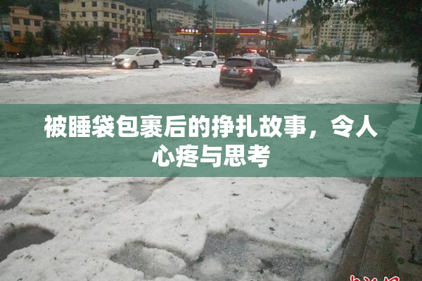 被睡袋包裹后的挣扎故事，令人心疼与思考