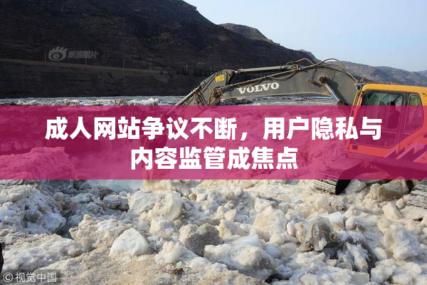 成人网站争议不断，用户隐私与内容监管成焦点
