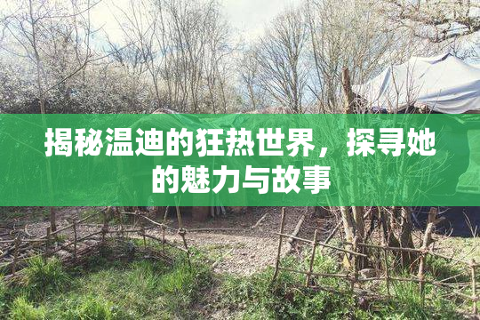 揭秘温迪的狂热世界，探寻她的魅力与故事