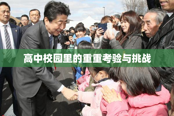 高中校园里的重重考验与挑战