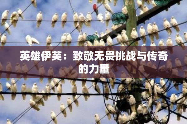 英雄伊芙：致敬无畏挑战与传奇的力量
