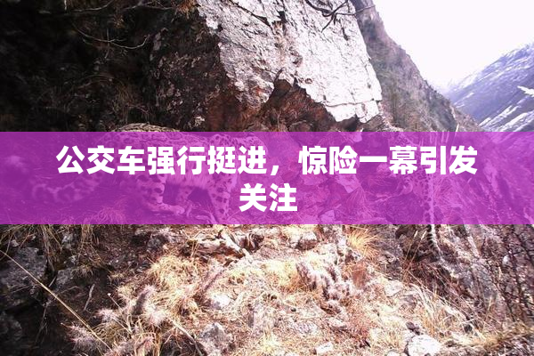 公交车强行挺进，惊险一幕引发关注