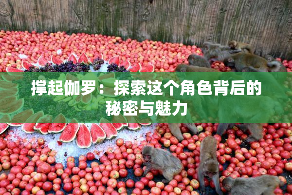 撑起伽罗：探索这个角色背后的秘密与魅力
