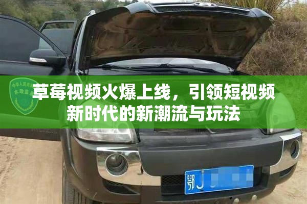 草莓视频火爆上线，引领短视频新时代的新潮流与玩法