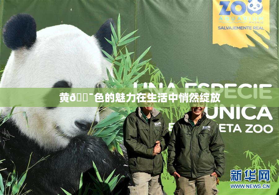 黄🔯色的魅力在生活中悄然绽放