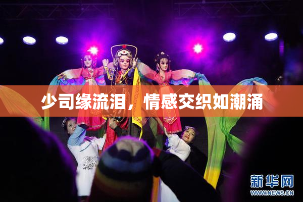 少司缘流泪，情感交织如潮涌
