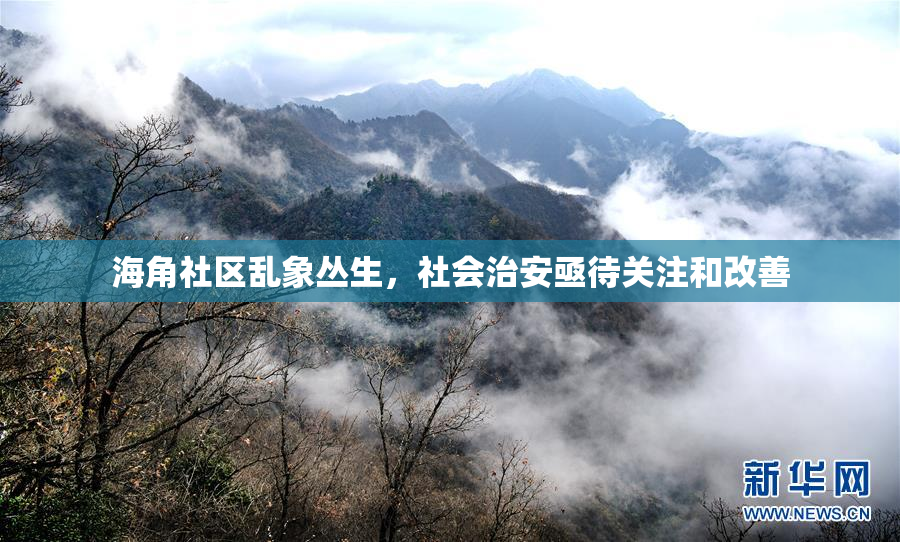 海角社区乱象丛生，社会治安亟待关注和改善