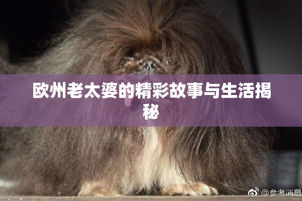 欧州老太婆的精彩故事与生活揭秘