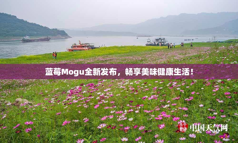 蓝莓Mogu全新发布，畅享美味健康生活！
