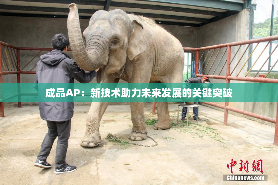 成品AP：新技术助力未来发展的关键突破