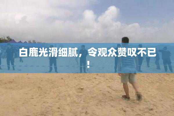 白鹿光滑细腻，令观众赞叹不已！