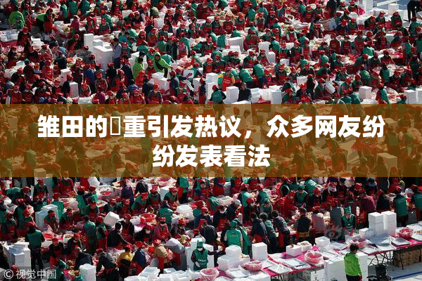 雏田的婬重引发热议，众多网友纷纷发表看法