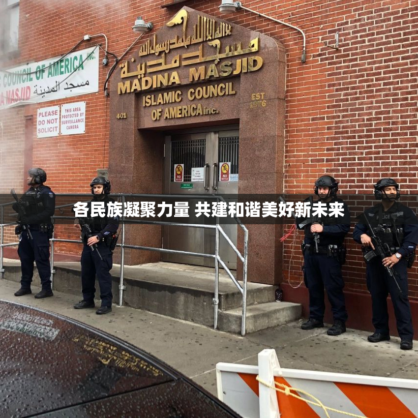各民族凝聚力量 共建和谐美好新未来